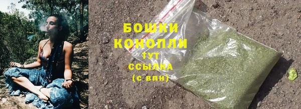 дурь Арсеньев