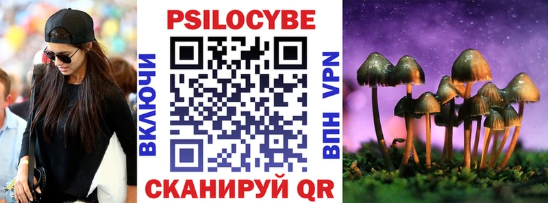 Псилоцибиновые грибы Cubensis  мега tor  Полярные Зори 